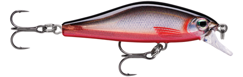 (RBS) Red Belly Shad